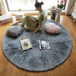 Shaggy Area Rug , Home Decor Carpet