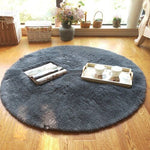 Shaggy Area Rug , Home Decor Carpet