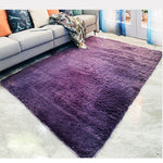 Indoor Area Rugs - Fluffy Living Room Carpets