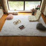 Faux Fur Carpet | Fluffy Area Rug | Gradient color blanket