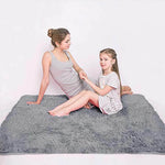 Indoor Area Rugs - Fluffy Living Room Carpets
