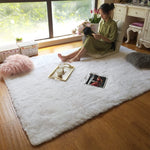 Fluffy Shag Area Rug