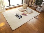 Faux Fur Carpet | Fluffy Area Rug | Gradient color blanket