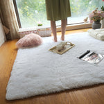 Faux Fur Carpet | Fluffy Area Rug | Gradient color blanket