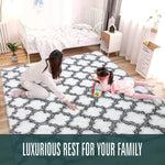 5'x8' | Machine Washable Area Rug | Indoor Rug | Shag Rug