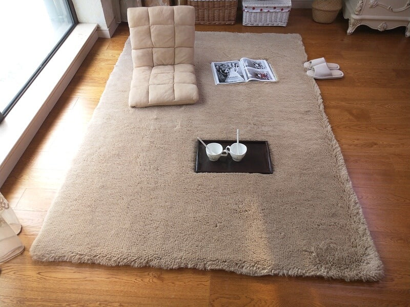 Faux Fur Carpet | Fluffy Area Rug | Gradient color blanket