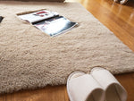 Faux Fur Carpet | Fluffy Area Rug | Gradient color blanket