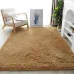 Indoor Area Rugs - Fluffy Living Room Carpets