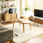 Fluffy Area Rug | Round Living Room Rugs